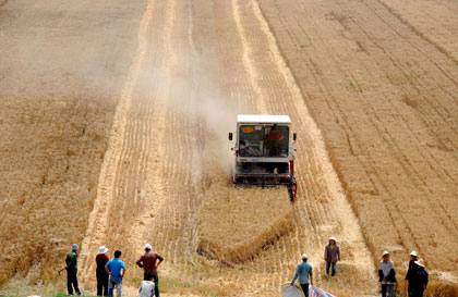 Bumper harvest reassures food safety