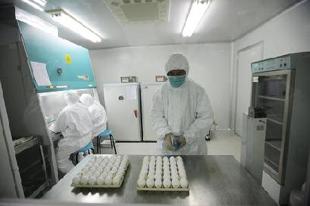 China's flu vaccines safe: Health Ministry