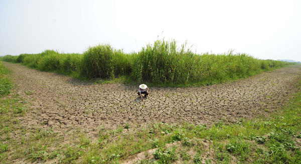 Drought fuels food price increases