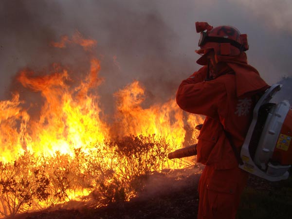 Yunnan forest fire under control