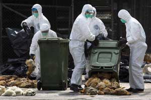 China reports H7N9 death, more cases