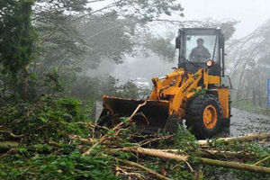 Eight killed in typhoon Rammasun in South China