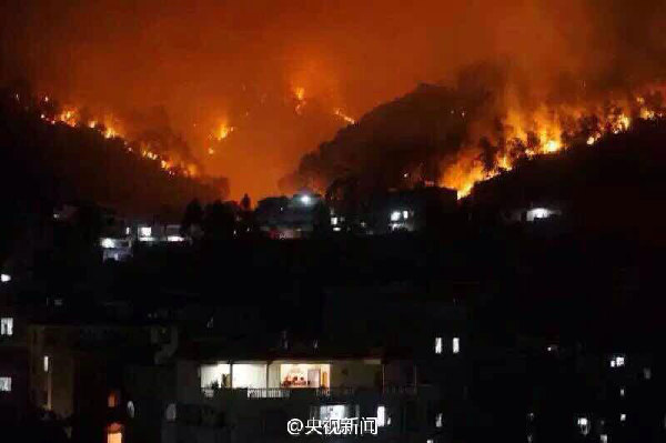 Forest fire rages in south China