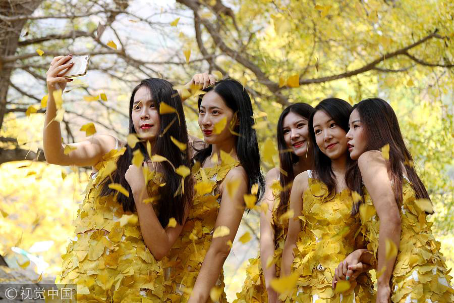 College students wear golden clothes made of gingko leaves