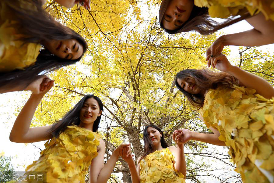 College students wear golden clothes made of gingko leaves