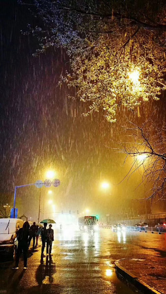 Snowfall turns Heilongjiang cities beautiful