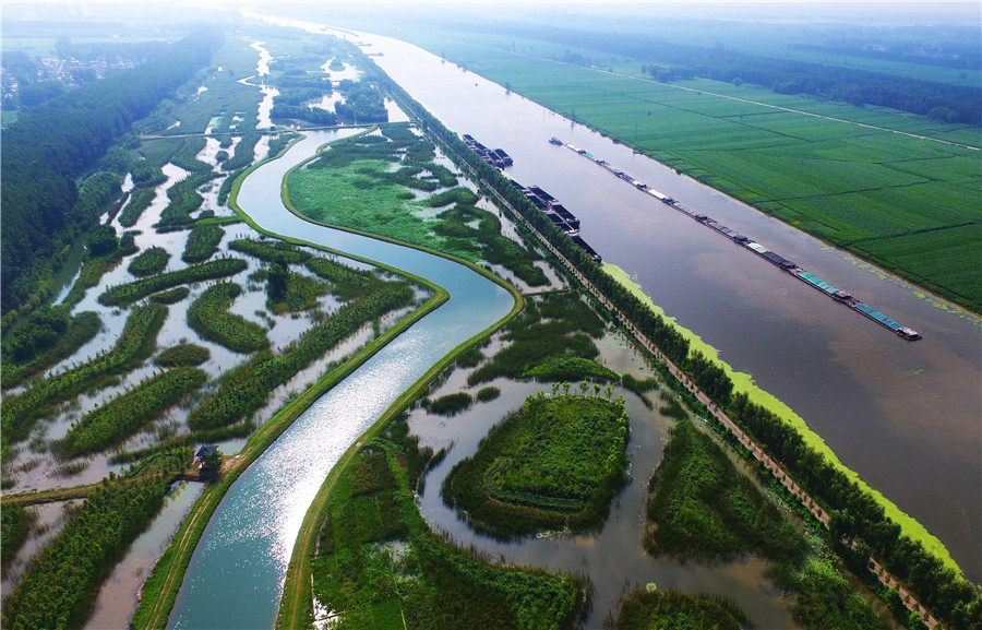Zone humide au Shandong : une destination parfaite pour l'été