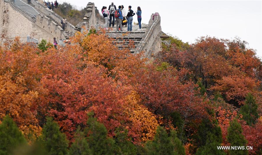 Les couleurs automnales de la Grande Muraille à Pékin