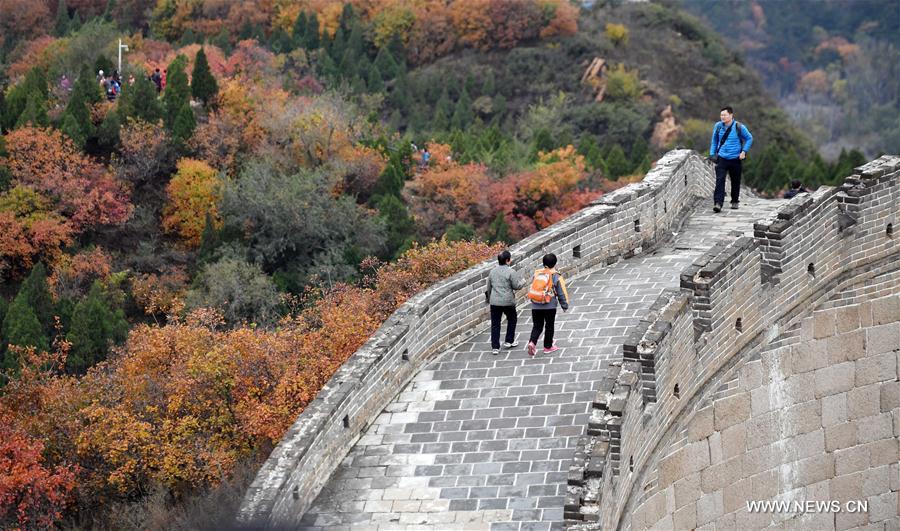 Les couleurs automnales de la Grande Muraille à Pékin