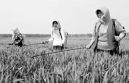 Province planning to purge pesticide abuse