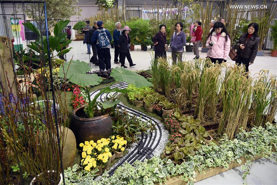 2015 Gardening Landscape & Green Roof Design Exhibition opens in Taipei