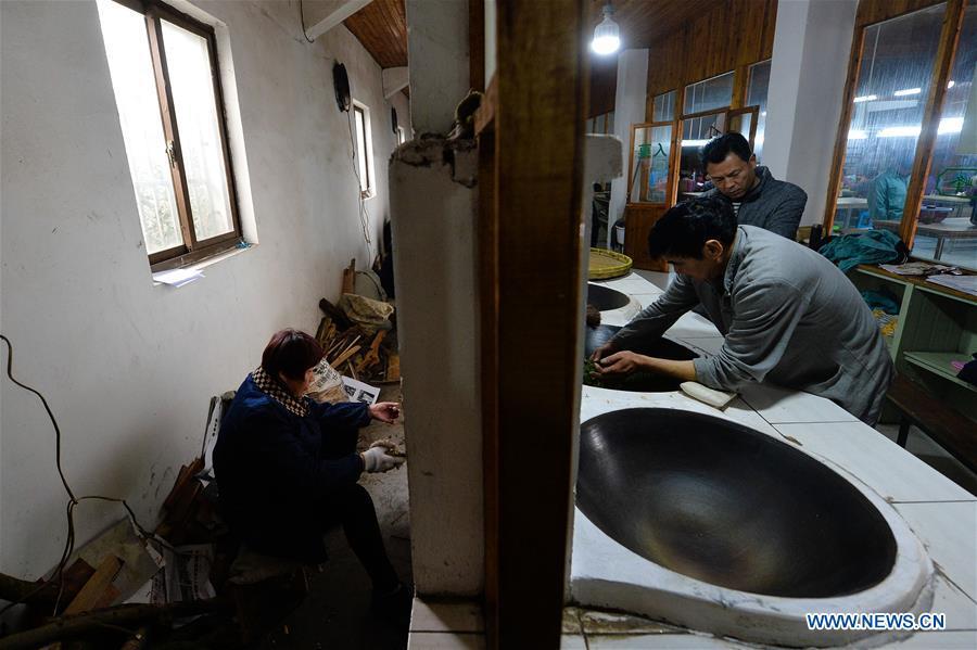Ancient making technique of Chinese tea Biluochun
