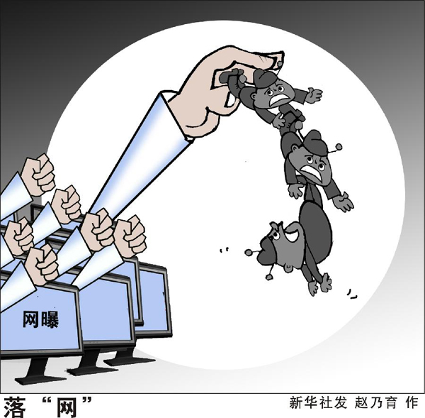 落“网”