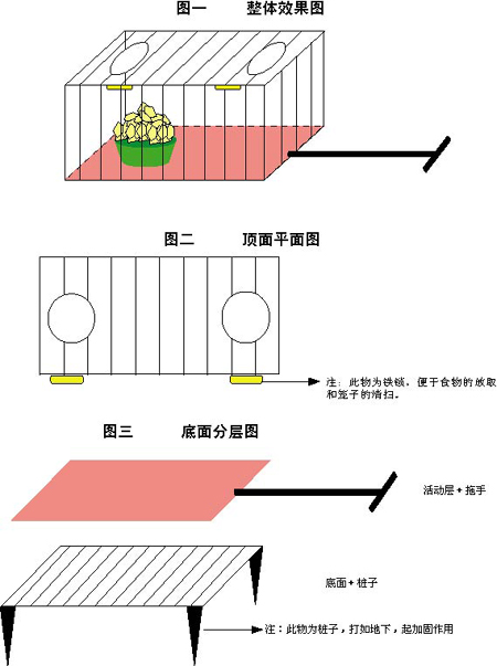 云南野生动物园猩猩贪吃 热心读者出点子助其减肥