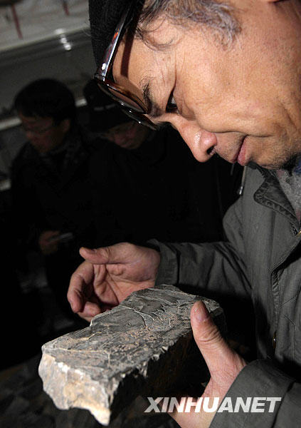 考古专家团在安阳考察“曹操墓”