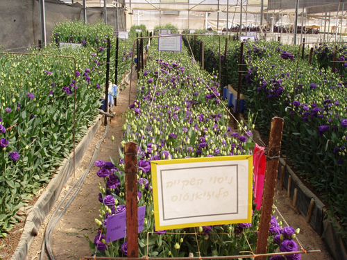 严重旱情呼唤节水 发展节水农业迫在眉睫