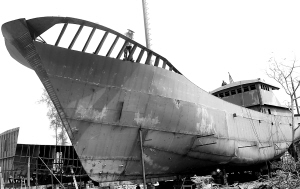 南海现代渔业打造海洋经济航母 建设海上海南