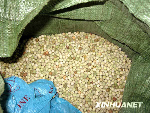 湖南衡阳发现并销毁“染色豆”
