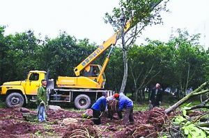 重庆人大代表无偿捐65亩开发地 价值2亿元