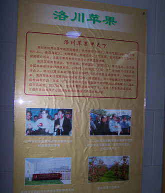 网络媒体陕西行走访苹果之乡洛川