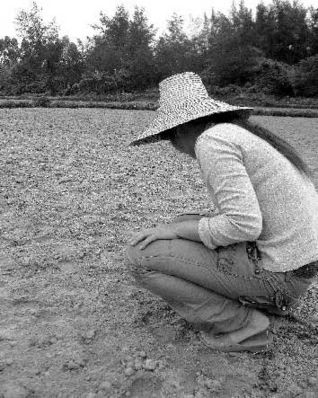广东最穷村落后全国30年 三百人学校无厕所(图)