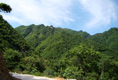 河南西峡：天然氧吧老君洞 风景秀丽野人谷(图)