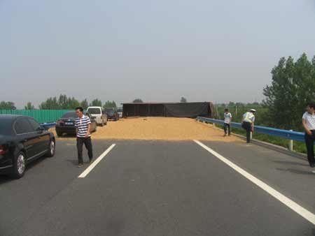球迷为看世界杯 货车“霸占”高速路