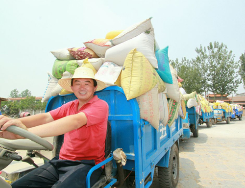 河南宁陵：农民售粮排长龙