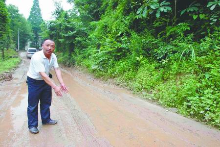 村民目击 都江堰青城山脚出现野生花豹