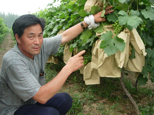 河南永城一村支书带领村民大干七年走上富裕路