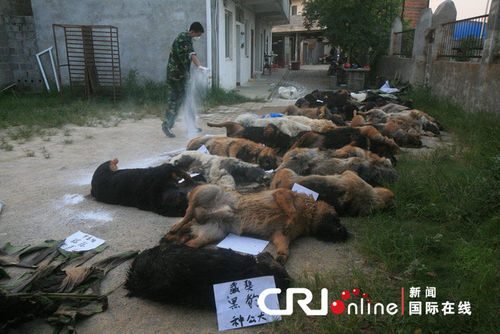 29只警犬服驱虫药后死亡
