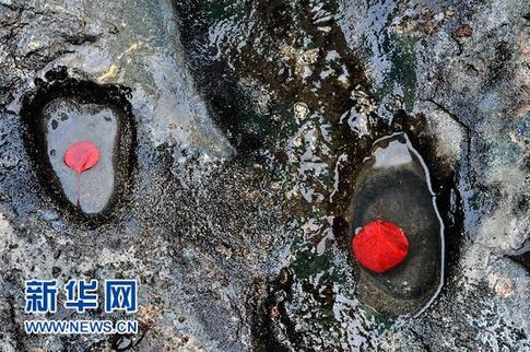 河北白银坨现冰川遗迹