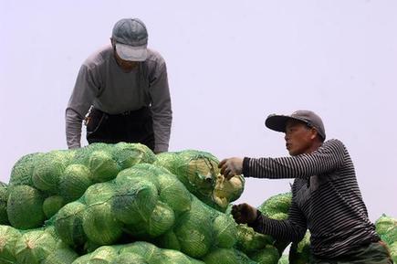 苹果价