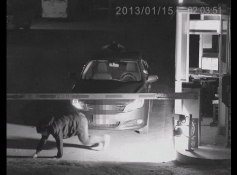 网曝美女车主为逃停车故意扮鬼 吓傻收费员(图)