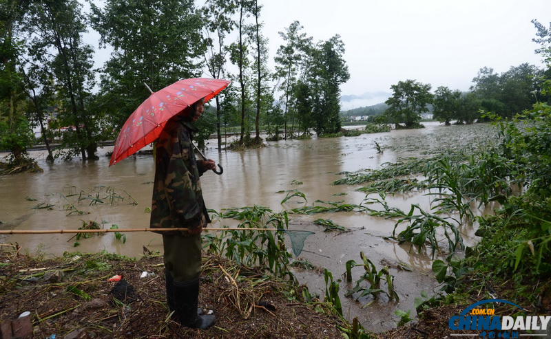 中国日报聚焦四川暴雨天气