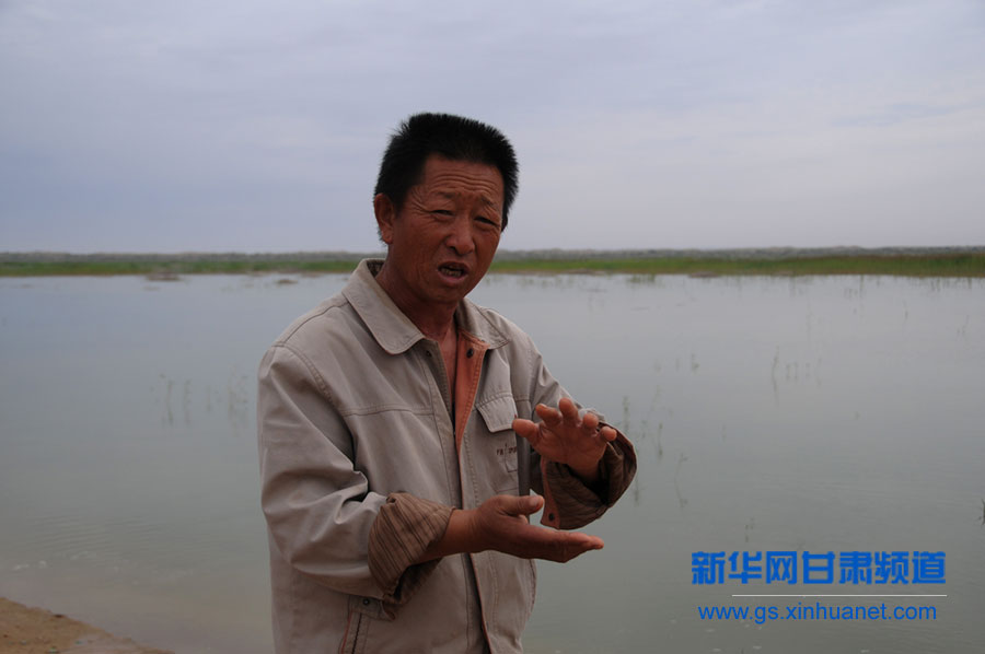 干涸半个世纪的甘肃民勤青土湖重现碧波
