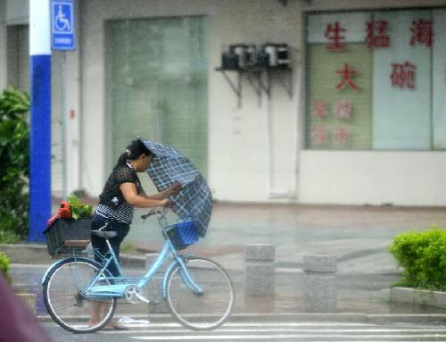 台风“韦森特”登陆广东台山