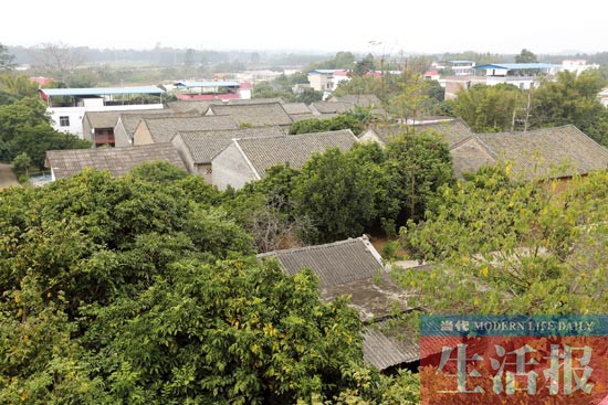 南宁那学坡：古民居蕴含古老文化 闹市边缘好去处