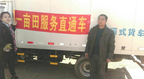 沈阳胡萝卜严重滞销：微博引发“网络救灾”