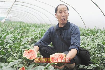 “膨大剂”风波重创成都西瓜 “口口脆”大量滞销
