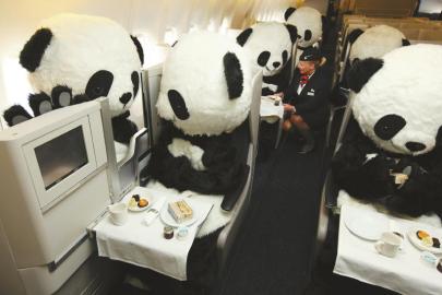64条国际航线开通 成都编织“全球网”