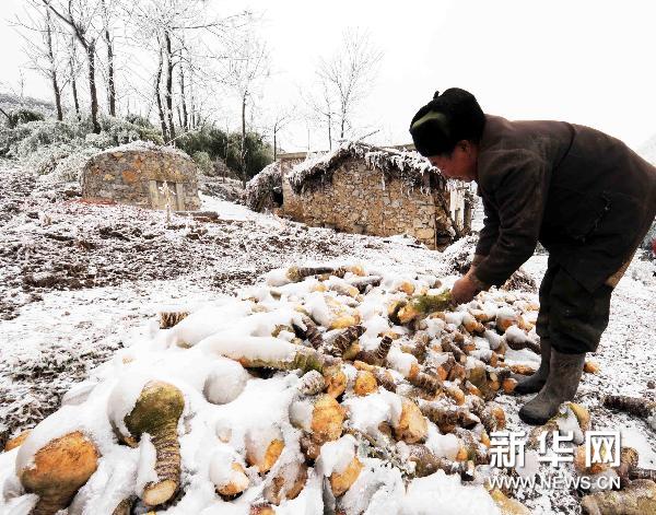 南方极寒北方极旱 2011 极寒极旱之年? 组图