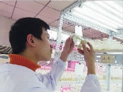 转基因食品:吃还是不吃?