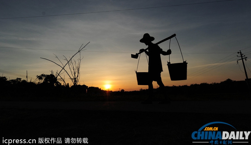湖南旱情蔓延：引水浇灌农田自救 定点定时供水解旱农之渴