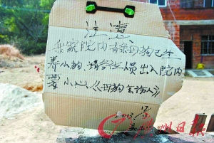 “我是扶人不是撞人” 大叔跳塘自杀证清白