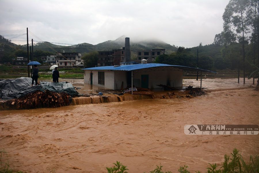 岑溪市受强降雨侵袭引发洪水 群众被困屋内(1/6)