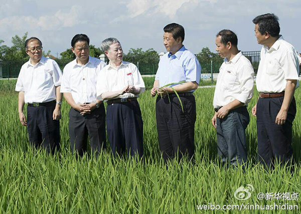 习近平：粮食安全要靠自己