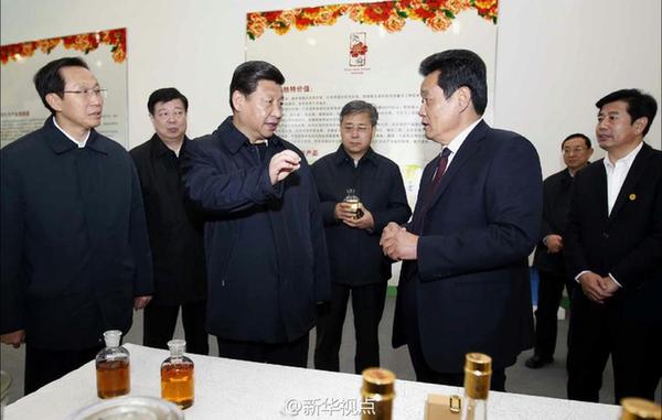 习近平：“今天长了见识”