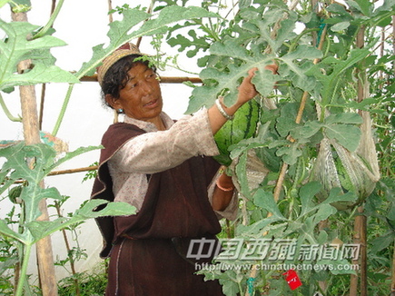 六十载沧桑话巨变 “西藏江南”展新颜