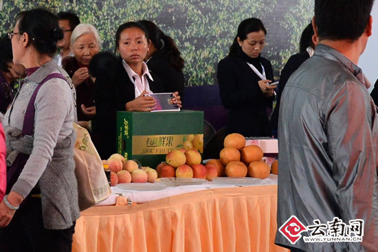 云南农产品扫二维码可实现全程监控“农田到餐桌”